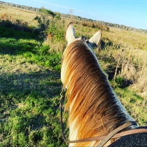 Meet your Posher, Lori